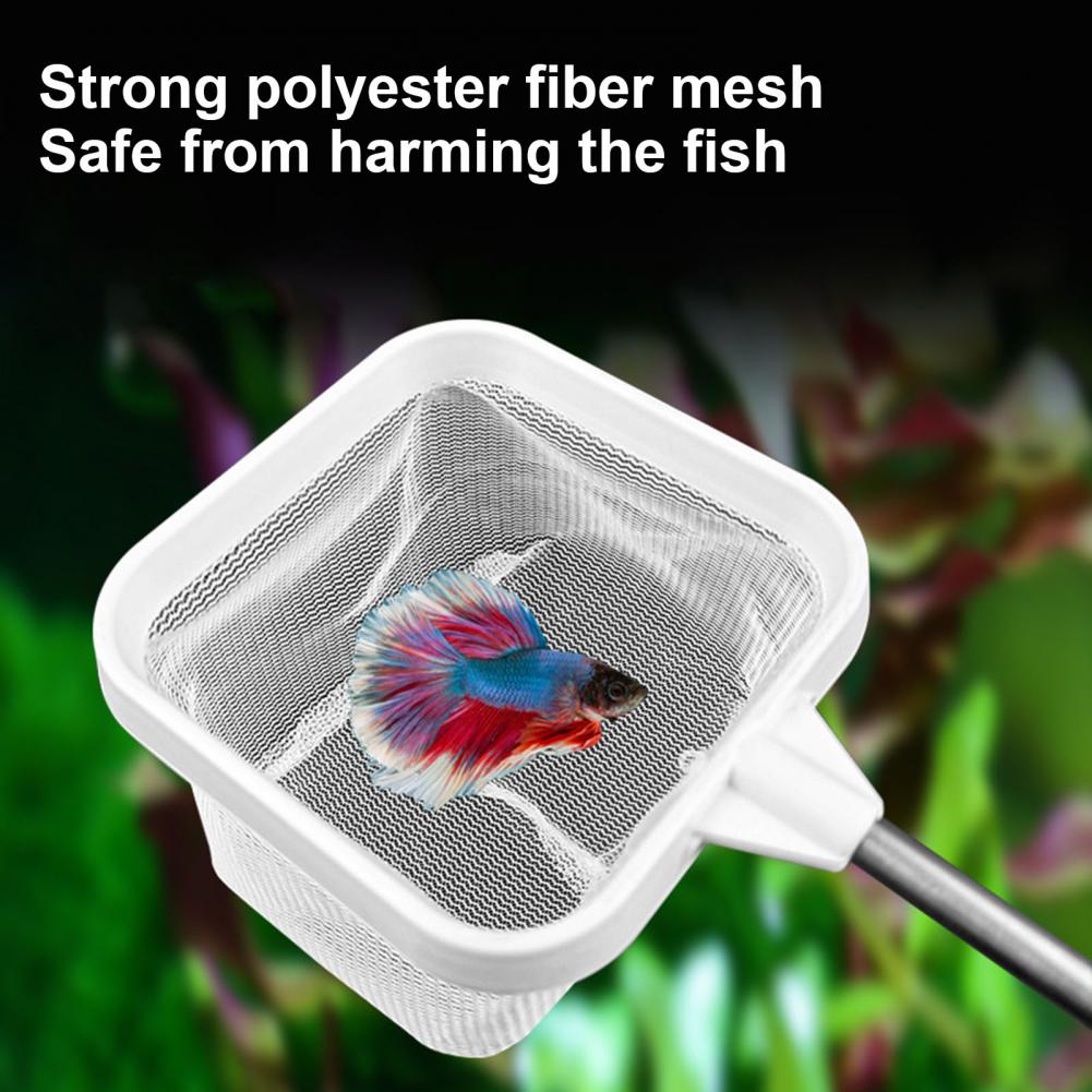 Fish Net Handle - Filet d'aquarium 20-46cm avec poignée télescopique