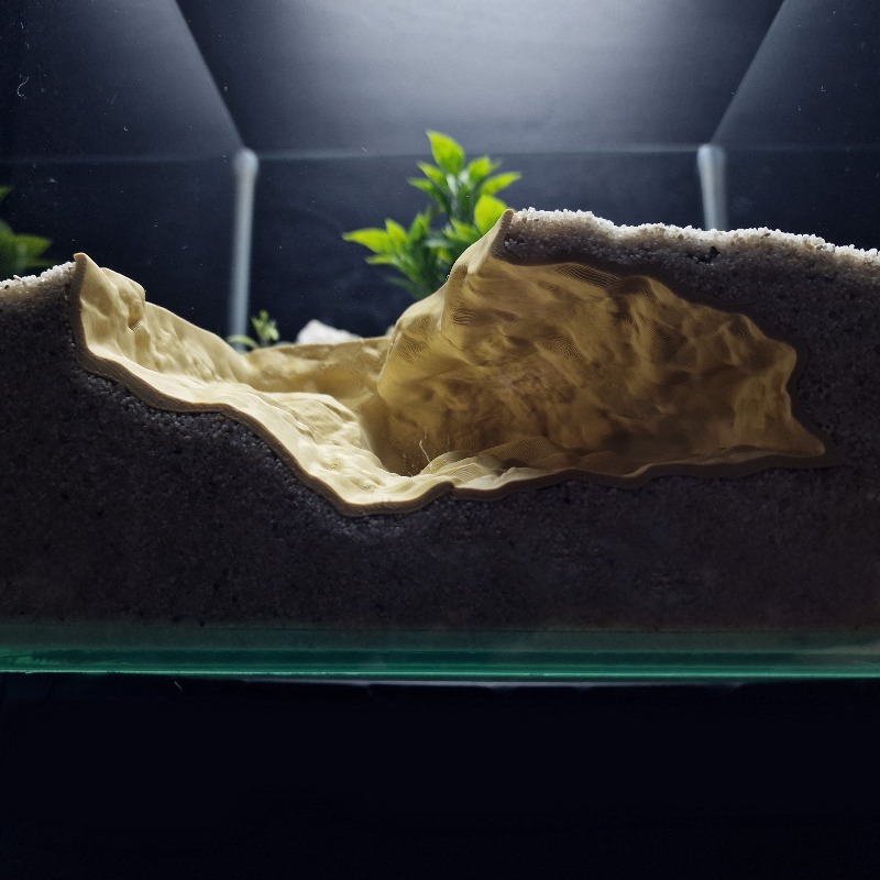 Aquarium Fish Games - Cache pour animaux de compagnie en