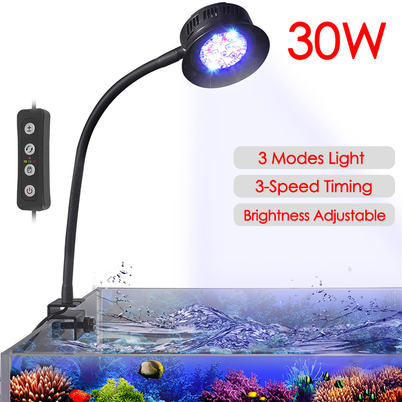 Aquarium Fish Marine - 30W Aquarium Aquarium eau de mer