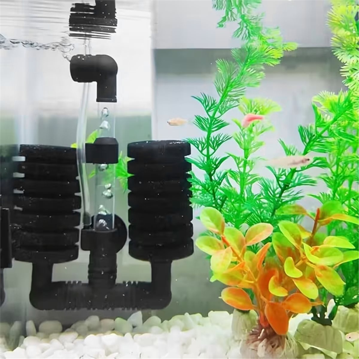 Aquarium Fish List - 【LISTE DES PRODUITS INÉGÉNÉRALEBLES】 Filtre d'aquarium
