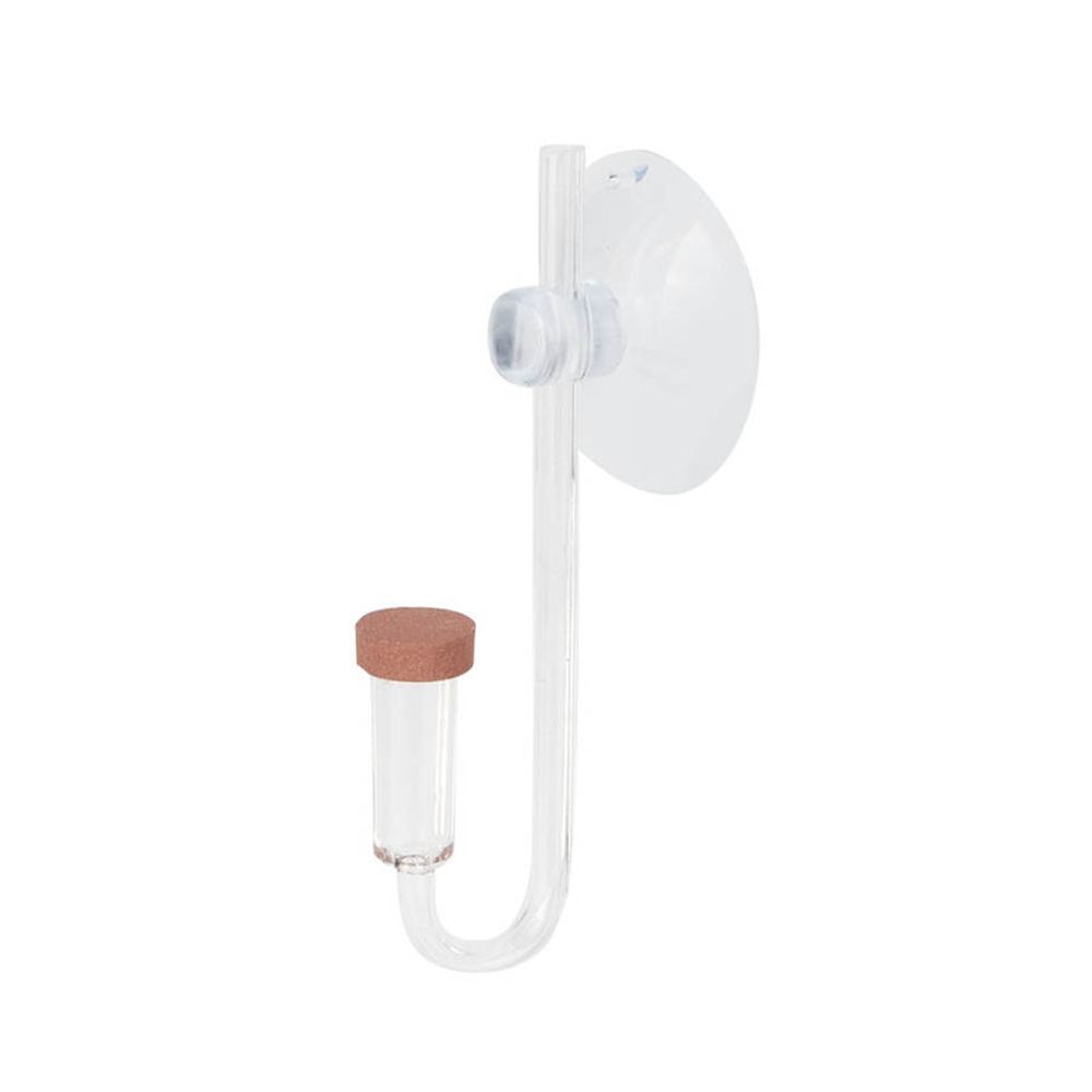 Co2 Diffuser Planted - Mini Aquarium en acrylique, plante vivante,