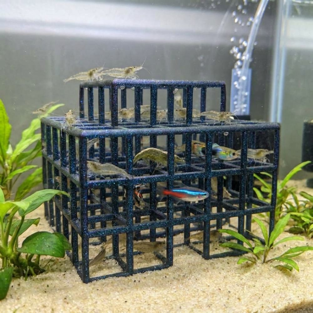 Aquarium Fish Games - Abri pour poissons et crevettes imprimé