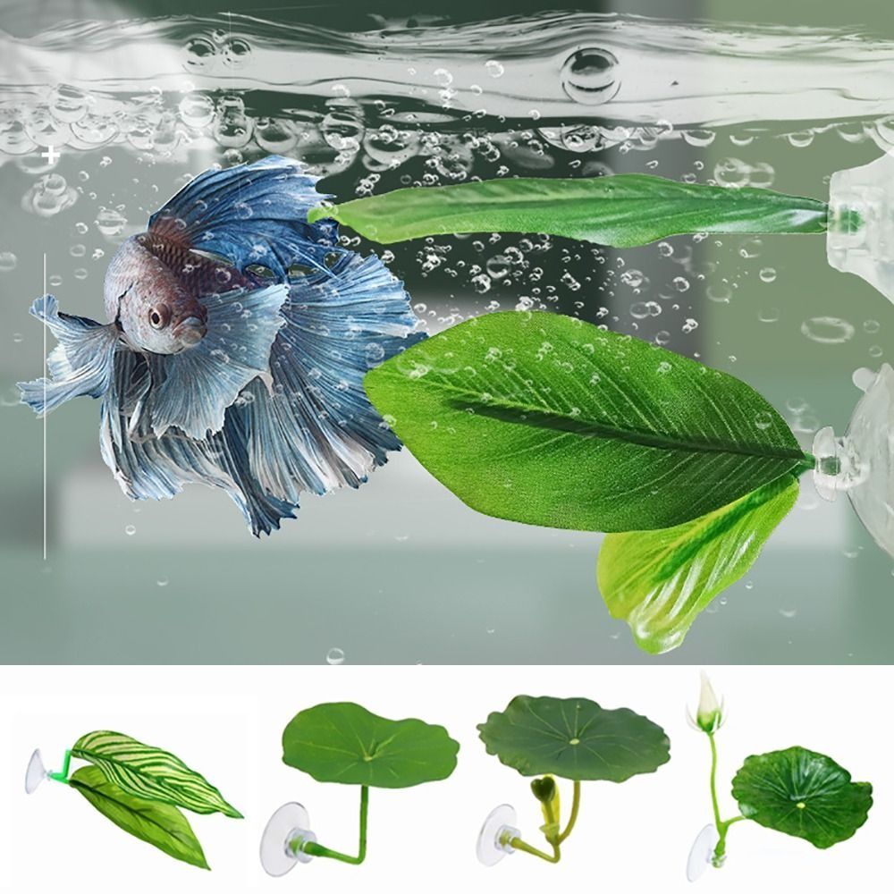 Feuille de repos de poisson Be - Aquarium Fish Games avis et prix