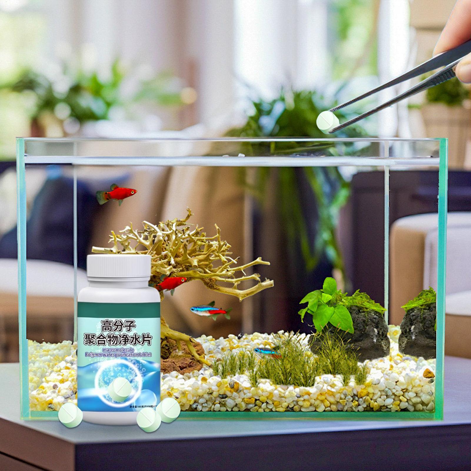 Tablettes purifiantes pour aqu - Aquarium Fish Medicine avis et prix
