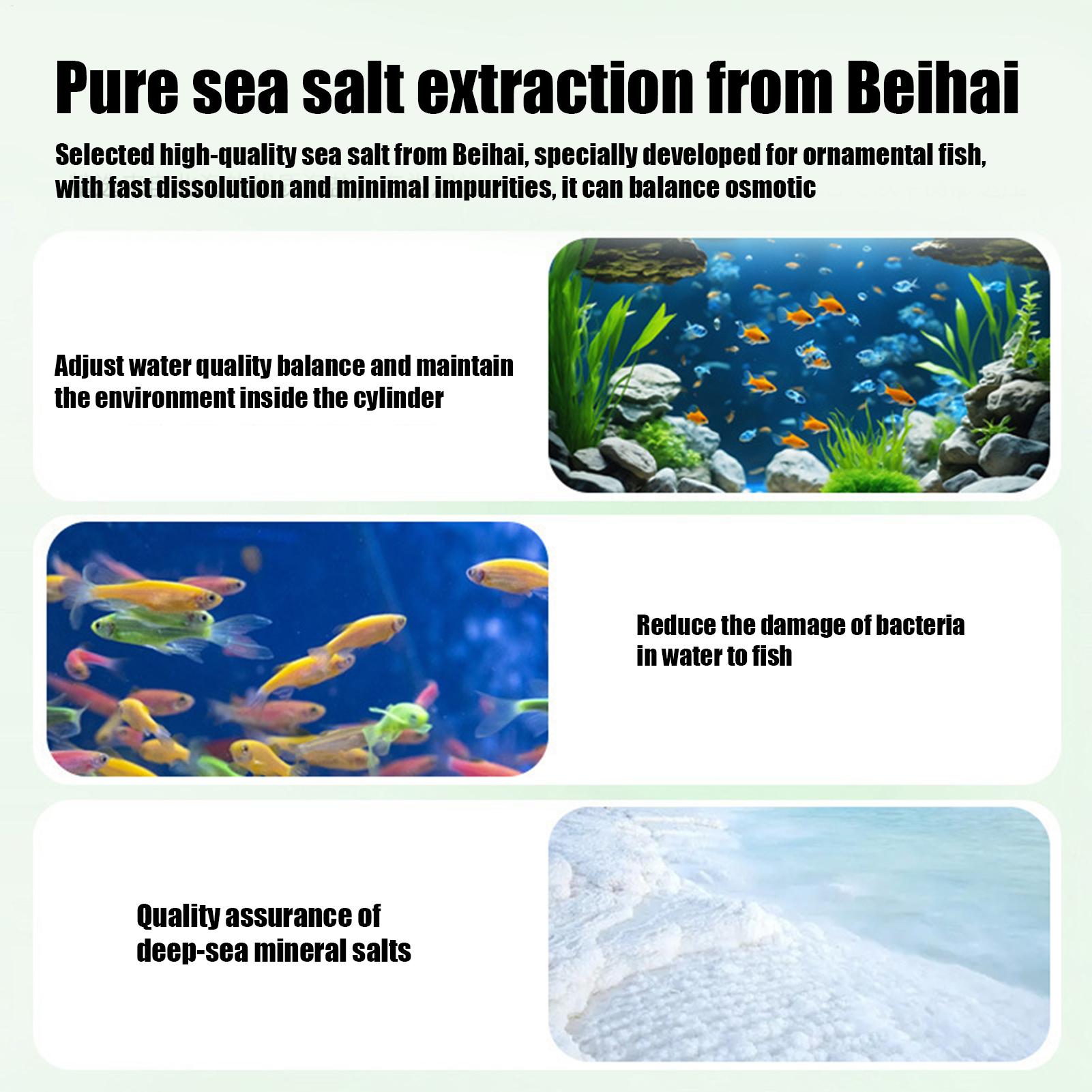 Tablettes purifiantes pour aqu - Aquarium Fish Medicine avis et prix