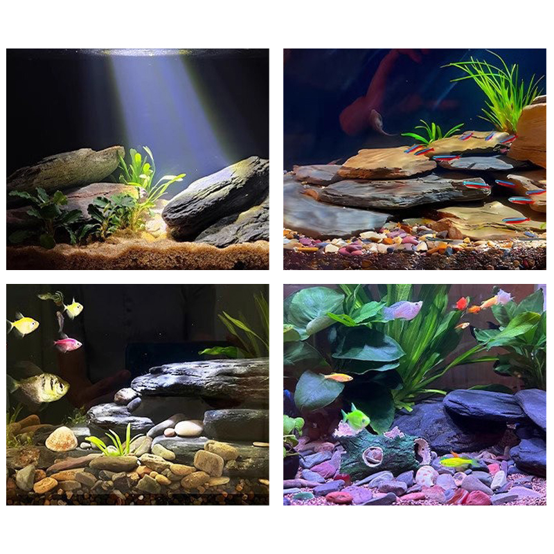 Kit de pierres paysagères pour - Fish Aquarium Home avis et prix