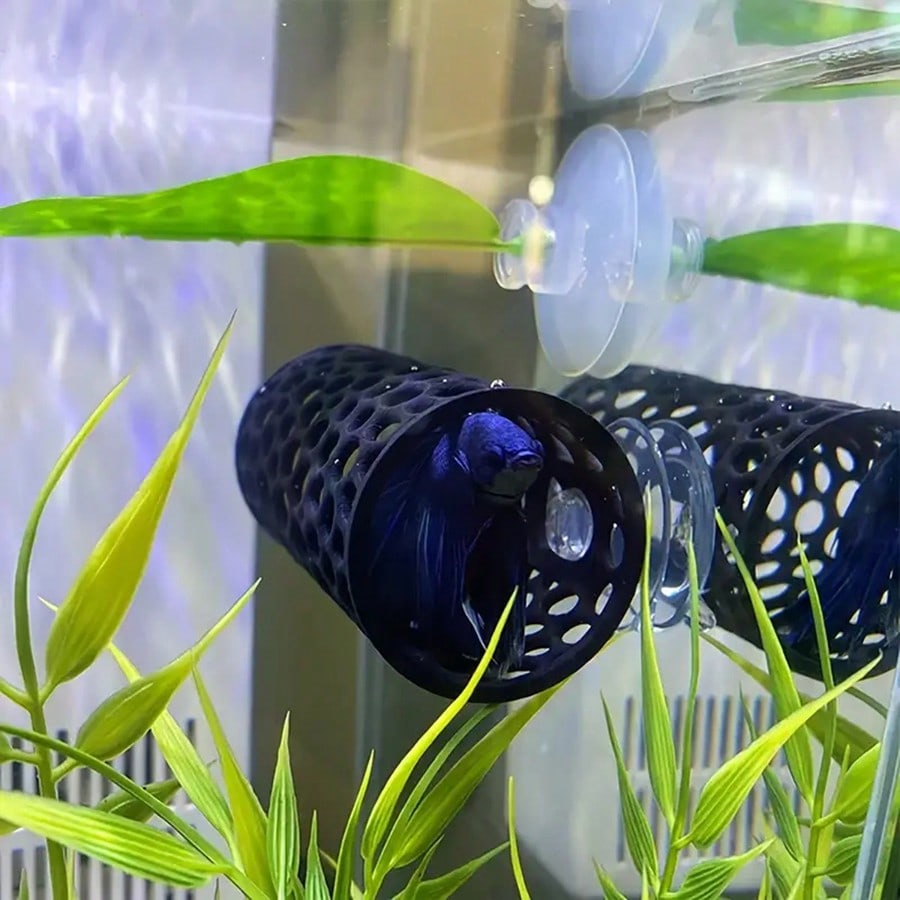 Cachette pour poissons d'aquar - Aquarium Fish Games avis et prix
