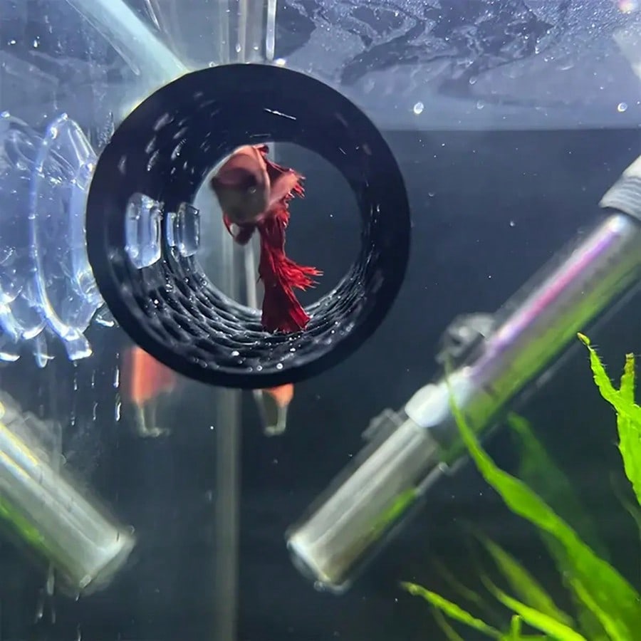 Cachette pour poissons d'aquar - Aquarium Fish Games avis et prix