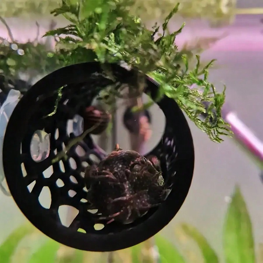 Cachette pour poissons d'aquar - Aquarium Fish Games avis et prix