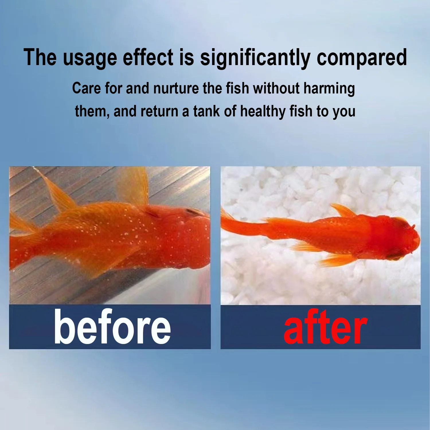 Traitement médical pour poisso - Aquarium Fish Medicine avis et prix