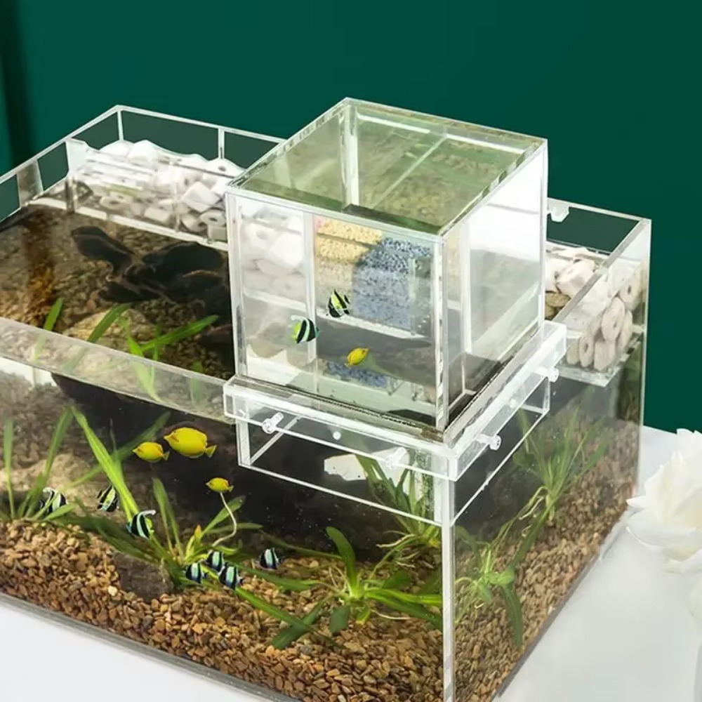 Aquarium suspendu en acrylique - Aquarium Xl avis et prix