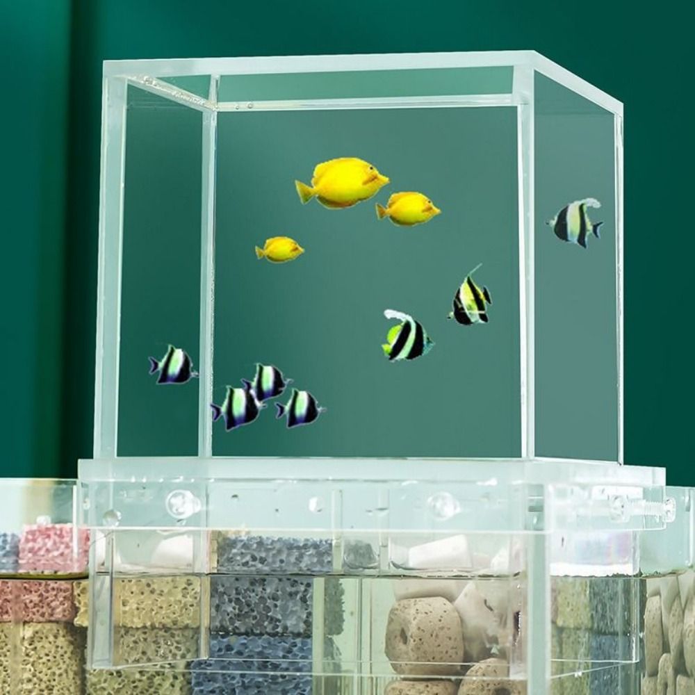 Aquarium suspendu en acrylique - Aquarium Xl avis et prix