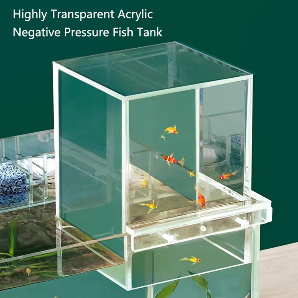 Aquarium suspendu en acrylique - Aquarium Xl avis et prix