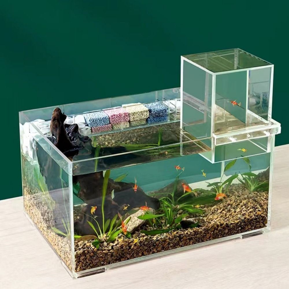 Aquarium suspendu en acrylique - Aquarium Xl avis et prix