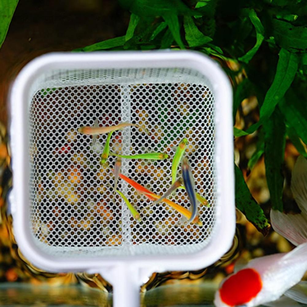 Filet d'aquarium 20-46cm avec  - Fish Net Handle avis et prix
