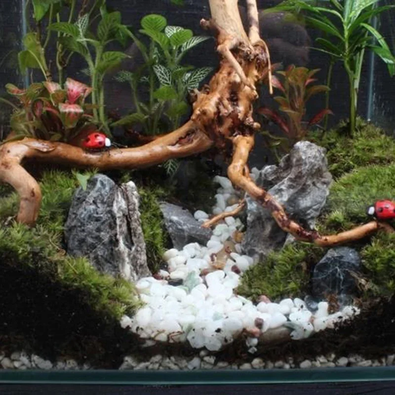 Tronc d'Arbre Naturel en Bois  - Aquarium Fish Games avis et prix