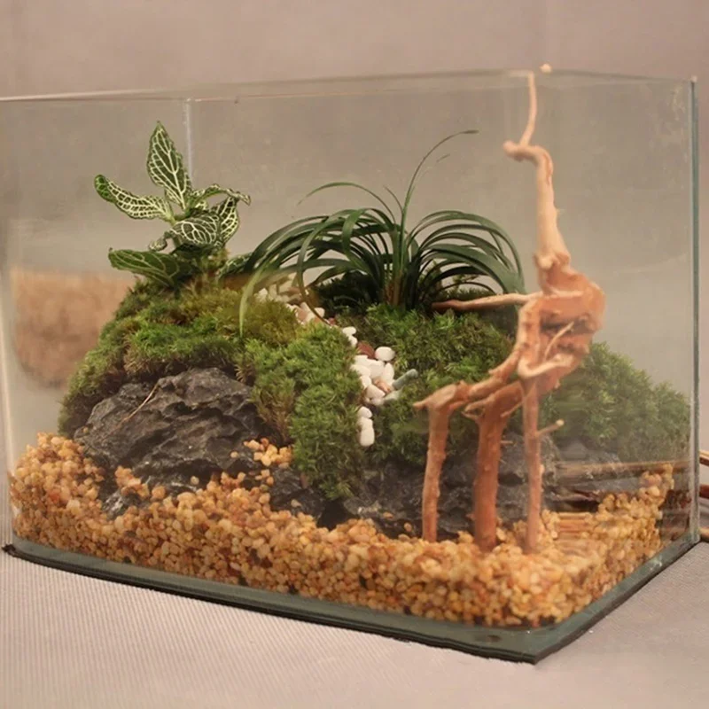 Tronc d'Arbre Naturel en Bois  - Aquarium Fish Games avis et prix