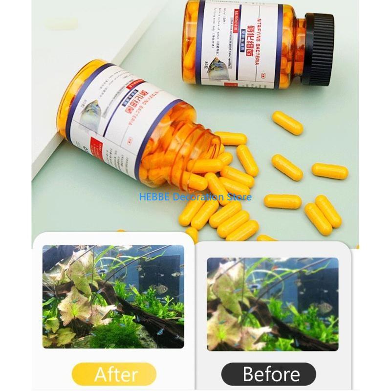 B0KC 30/80 PCS Capsules bactér - Aquarium Fish Medicine avis et prix