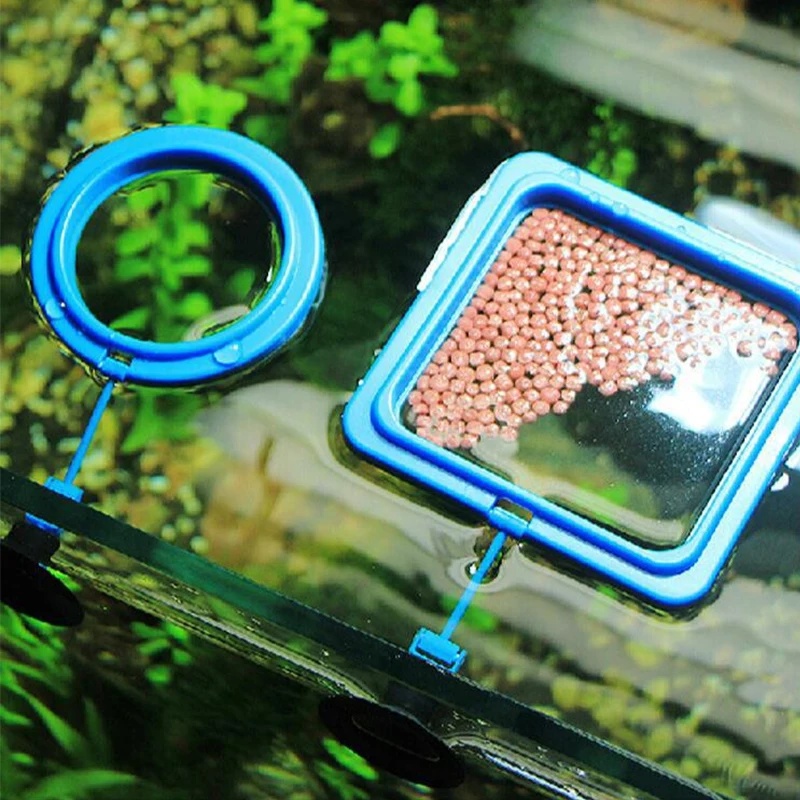 Anneau flottant d'alimentation - Aquarium Fish Medicine avis et prix