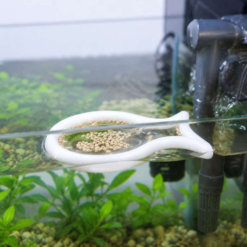 Anneau flottant en forme de po - Aquarium Fish Medicine avis et prix