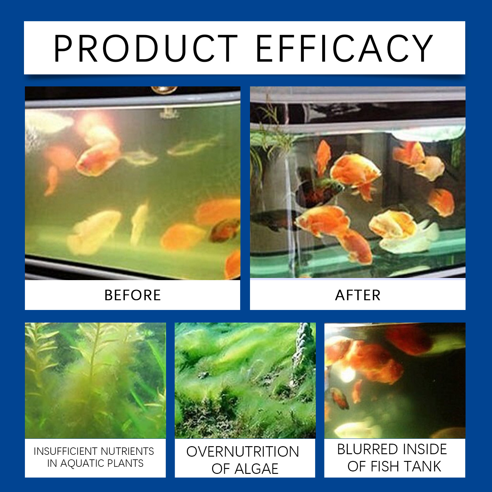 Chiarificateur d'eau d'aquariu - Aquarium Fish Freshwater avis et prix