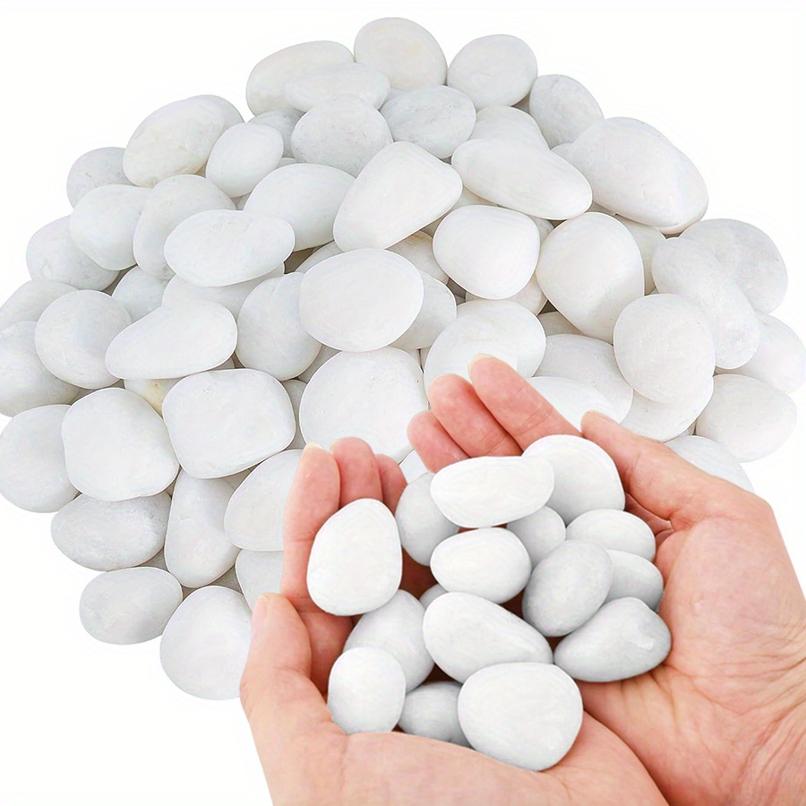 Cerfsets naturels blancs haute - Fish Aquarium Home avis et prix