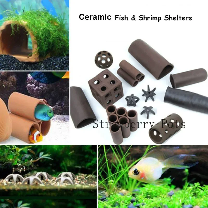 Décoration d'aquarium en céram - Aquarium Fish Games avis et prix