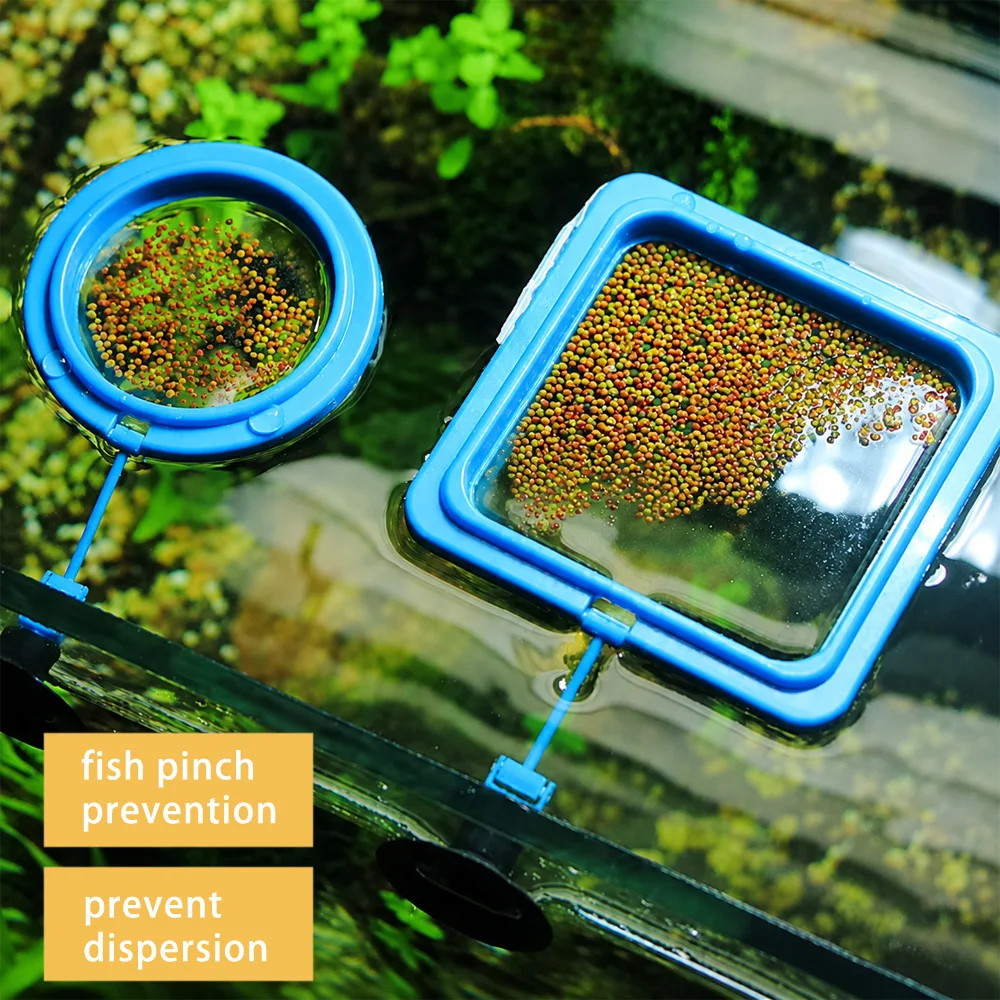 Nourriture pour poissons Betta - Aquarium Fish Medicine avis et prix