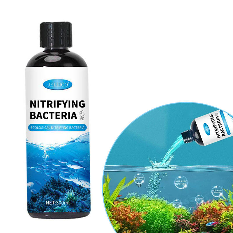 Purificateur d'eau pour Aquari - Aquarium Fish Medicine avis et prix