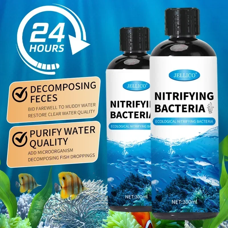 Purificateur d'eau pour Aquari - Aquarium Fish Medicine avis et prix
