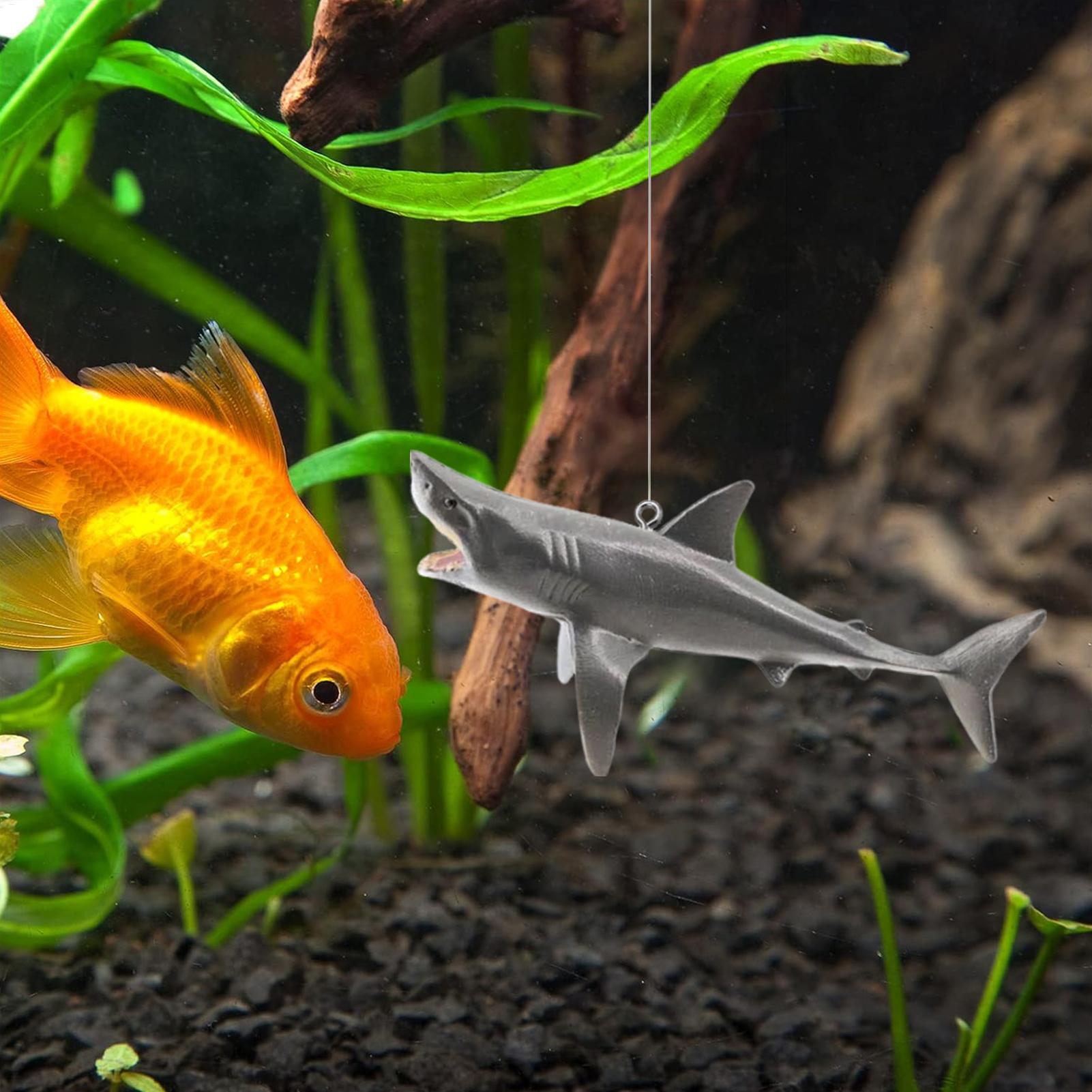 Décoration de paysage d'aquari - Aquarium Fish Games avis et prix