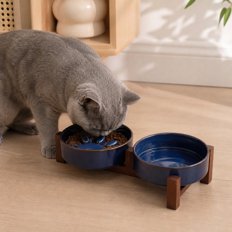 Bol pour animaux de compagnie  - Royal Canin Food Medium avis et prix