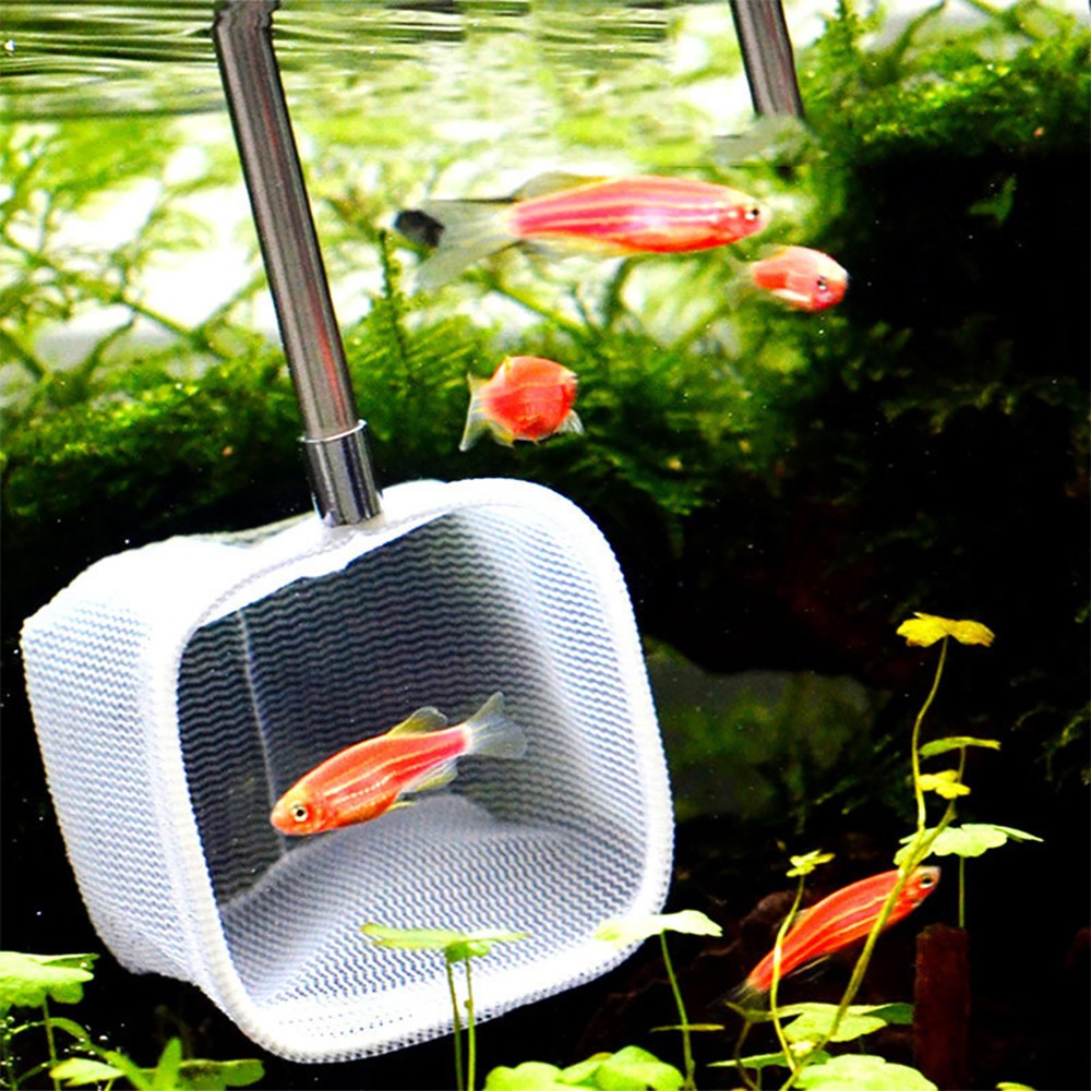 Épuisette télescopique extensi - Fish Net Handle avis et prix