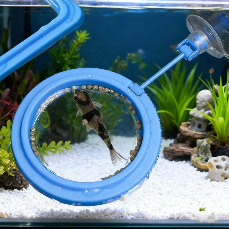 Station d'alimentation pour aq - Aquarium Fish Medicine avis et prix
