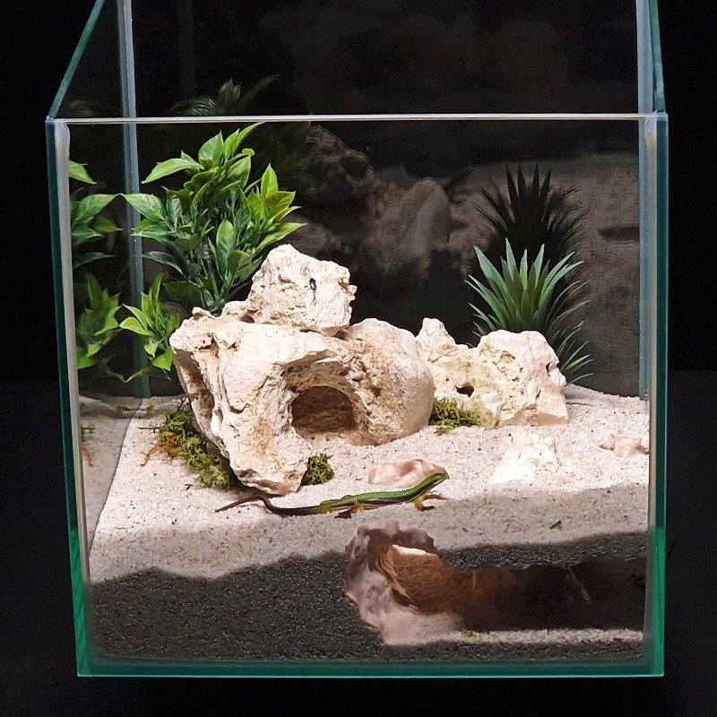 Tunnel d'aquarium imprimé en 3 - Aquarium Fish Games avis et prix