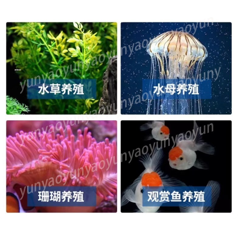 Petit refroidisseur d'aquarium - Aquarium Fish Freshwater avis et prix