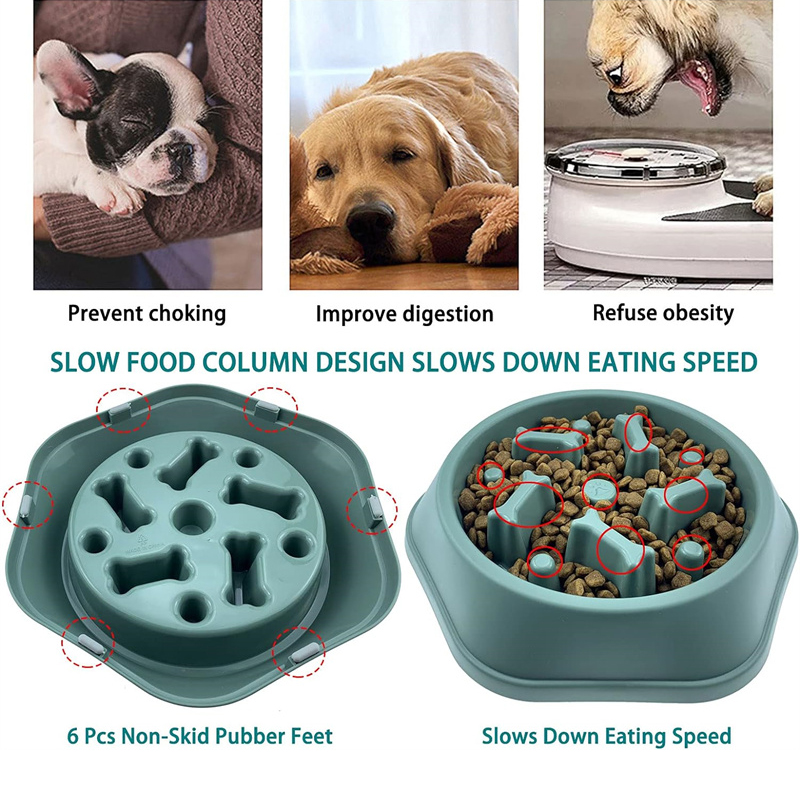Bol pour chien à alimentation  - Royal Canin Food Medium avis et prix