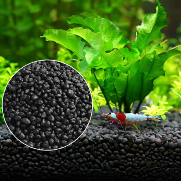 Sol de graines de plantes d'aq - Aquarium Fish Freshwater avis et prix