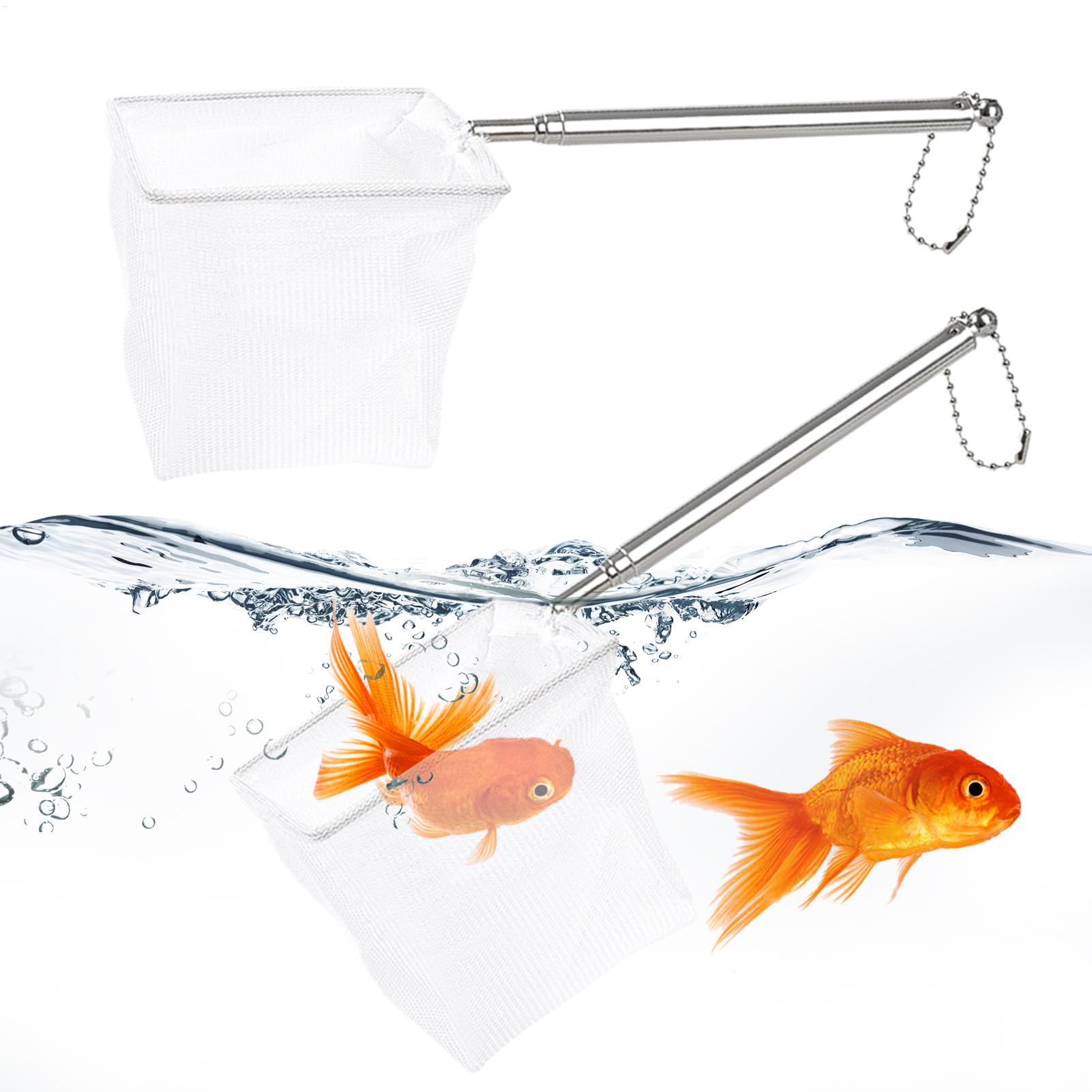 Lot de 2 Petits Épuisettes à P - Fish Net Handle avis et prix