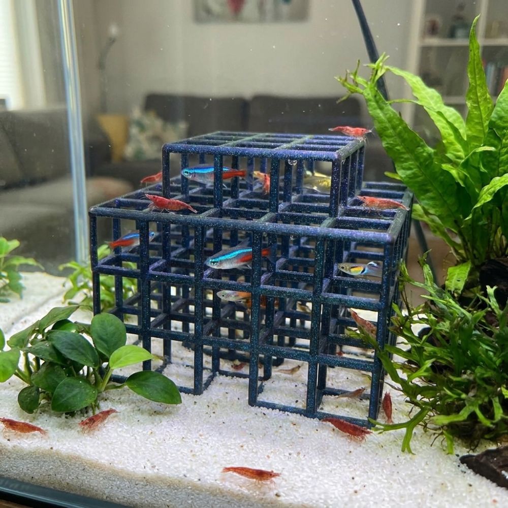 Abri pour poissons et crevette - Aquarium Fish Games avis et prix