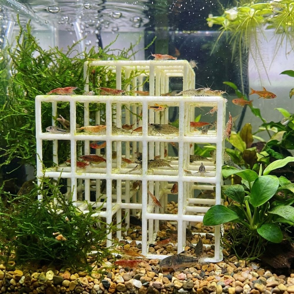 Abri pour poissons et crevette - Aquarium Fish Games avis et prix