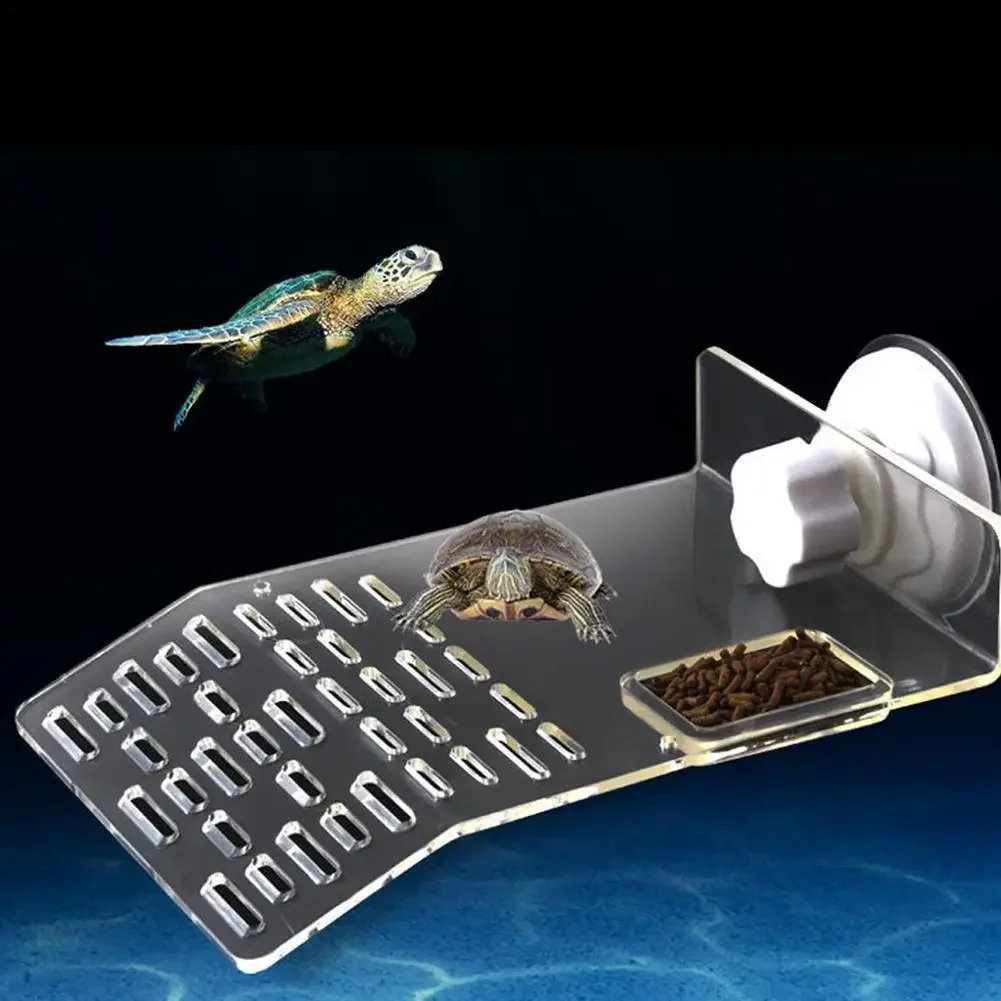 Plateforme de baignade Turtle  - Aquarium Xl avis et prix