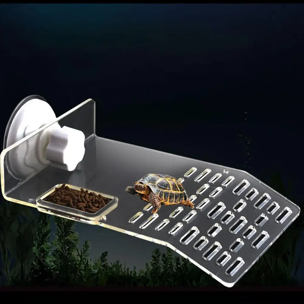 Plateforme de baignade Turtle  - Aquarium Xl avis et prix