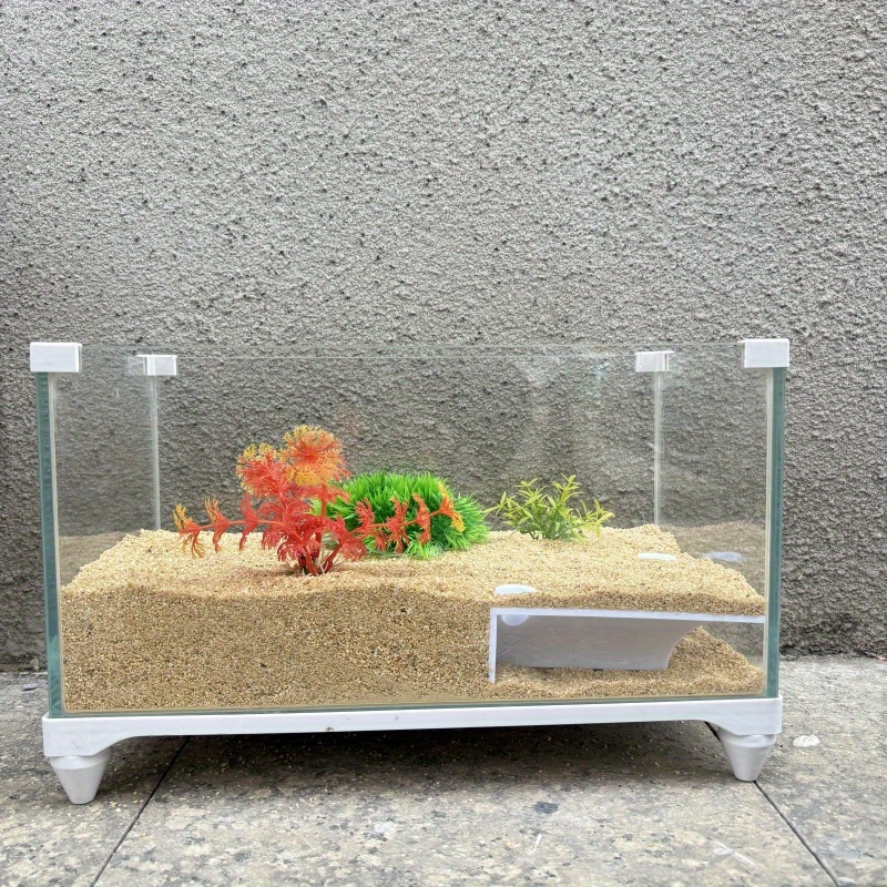 Petit lieu de cachetage d'habi - Aquarium Fish Games avis et prix