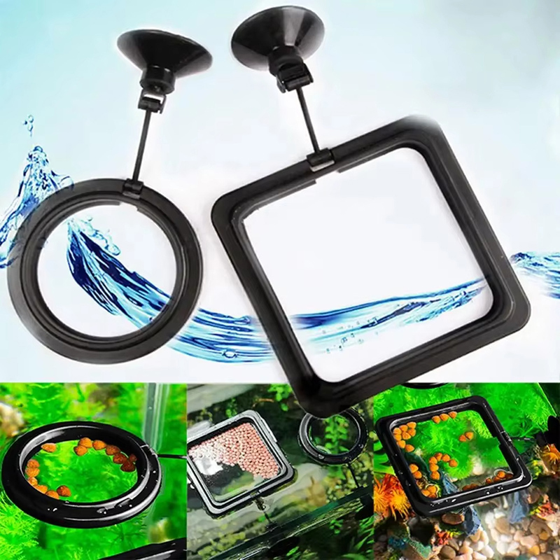 Anneau d'alimentation pour Aqu - Aquarium Fish Medicine avis et prix