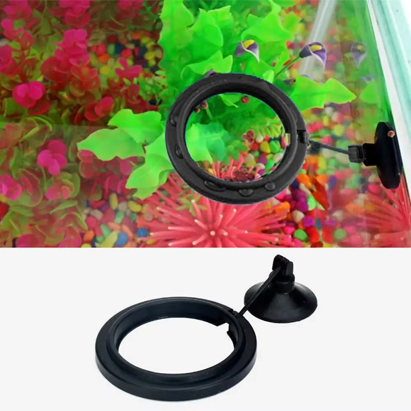 Anneau d'alimentation pour Aqu - Aquarium Fish Medicine avis et prix