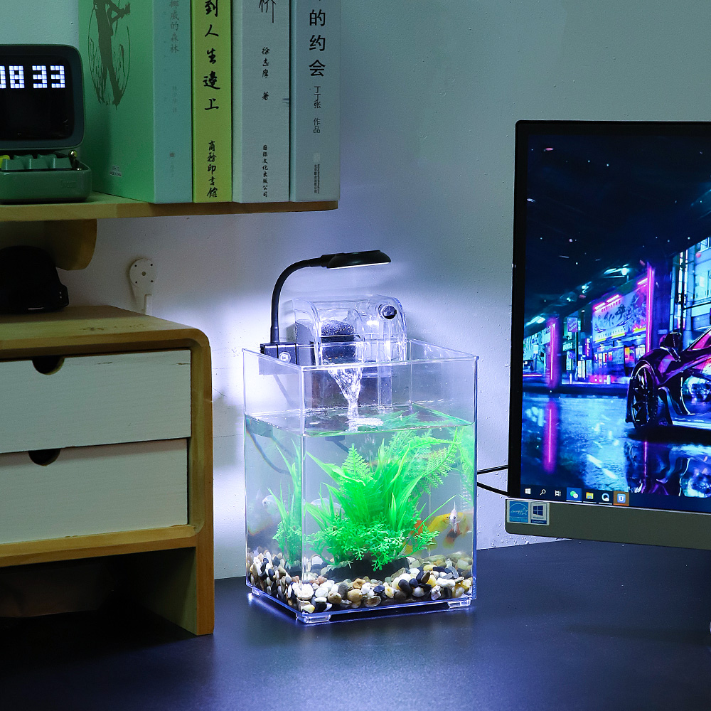 Ensemble précieux de poisson d - Aquarium Xl avis et prix