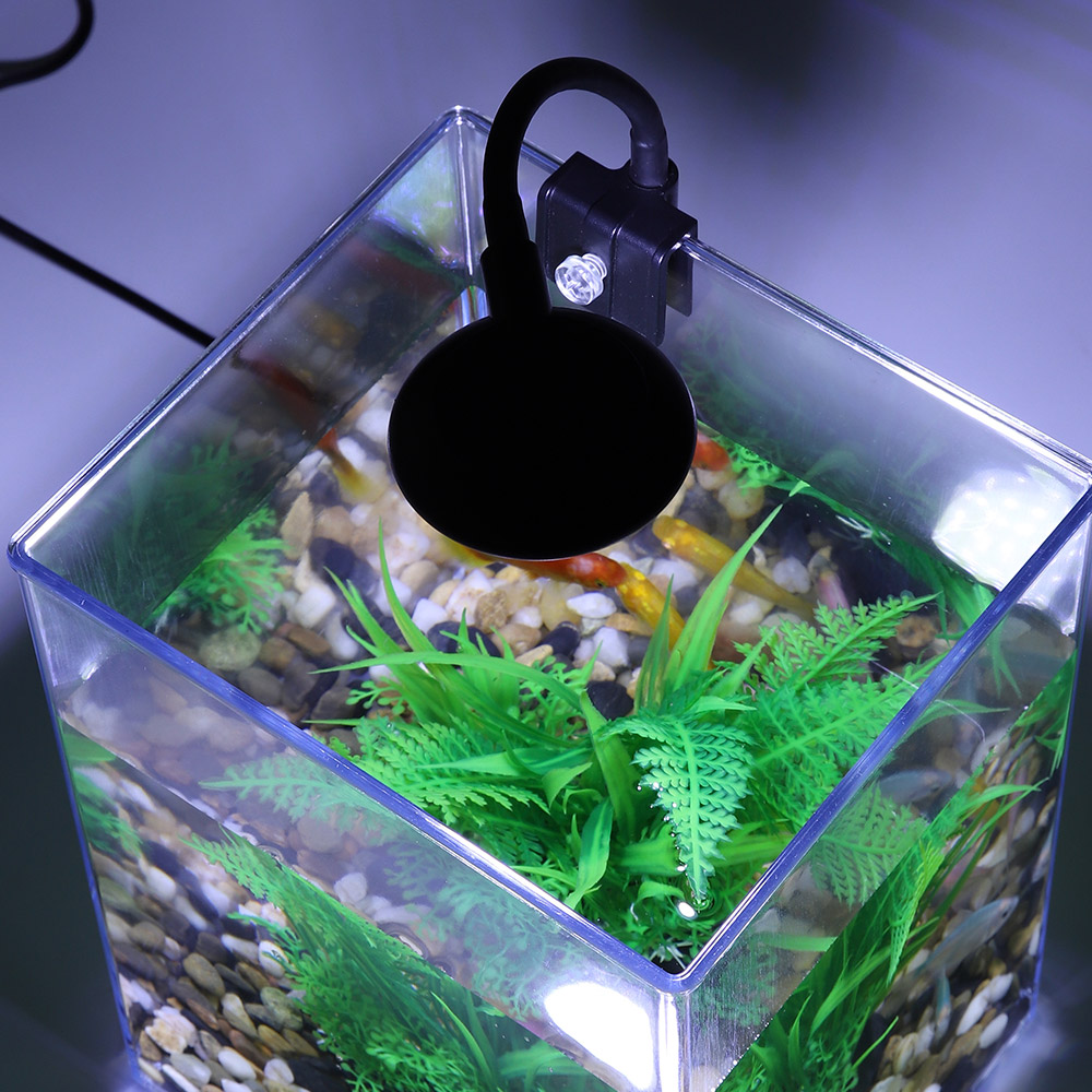 Ensemble précieux de poisson d - Aquarium Xl avis et prix